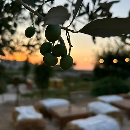 Bianco E Rosmarino