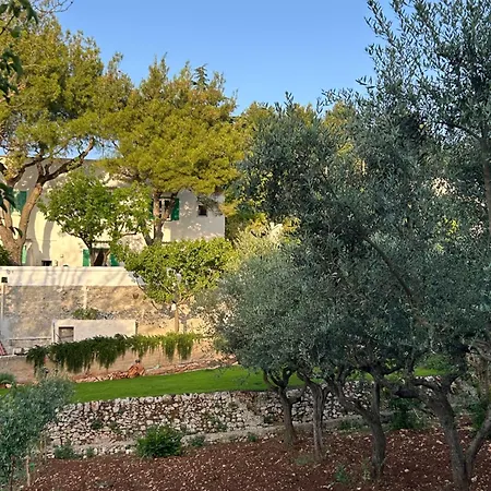Bianco E Rosmarino * Selva Di Fasano